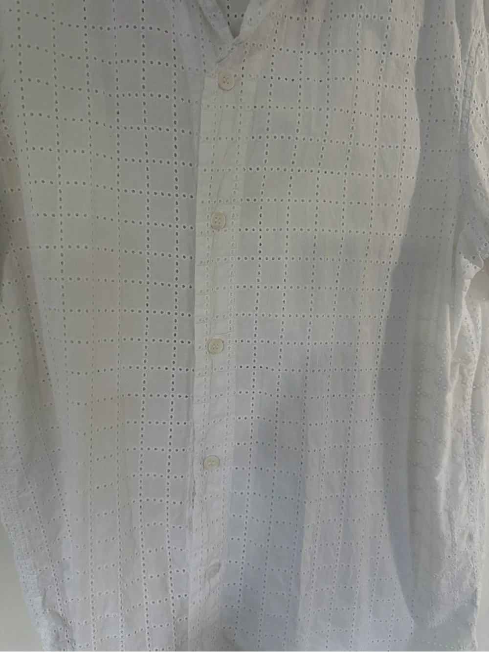 Banana Republic White Eyelet Short-Sleeve Button-Down